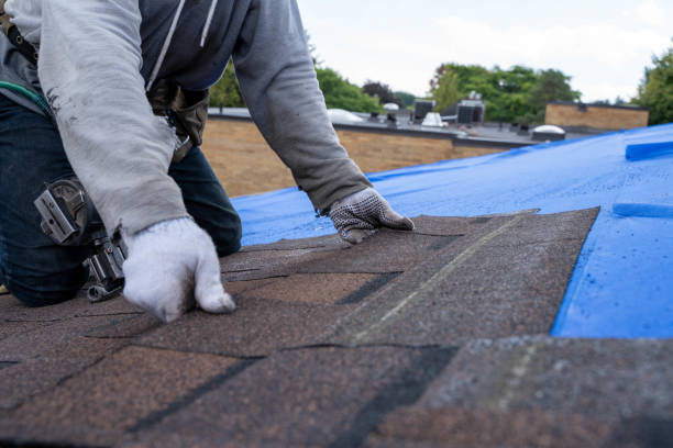 Fast & Reliable Emergency Roof Repairs in Armona, CA